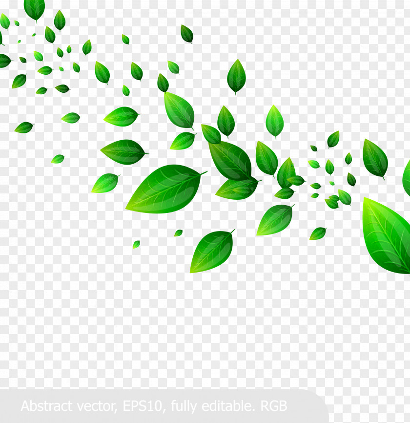 When Fresh Green Leaves Vector Material Leaf Clip Art PNG