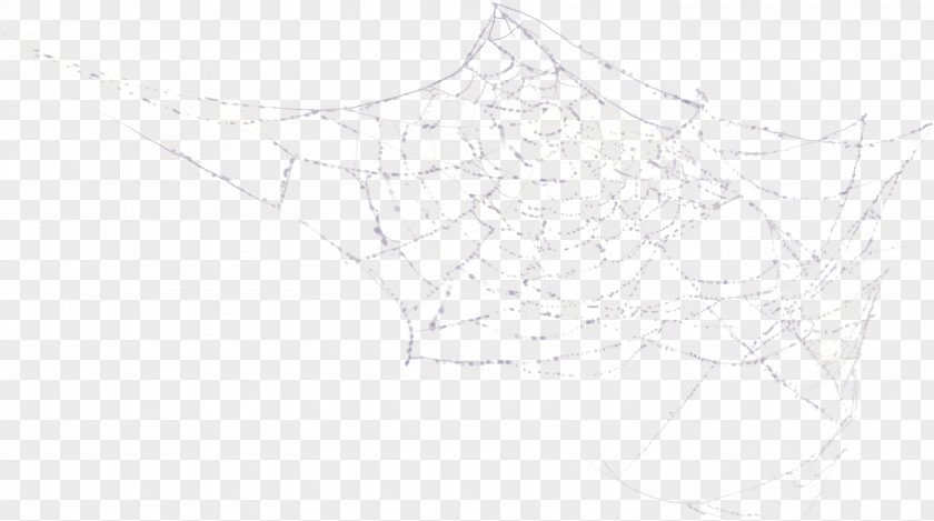 Cartoon Spider Web Black And White Pattern PNG