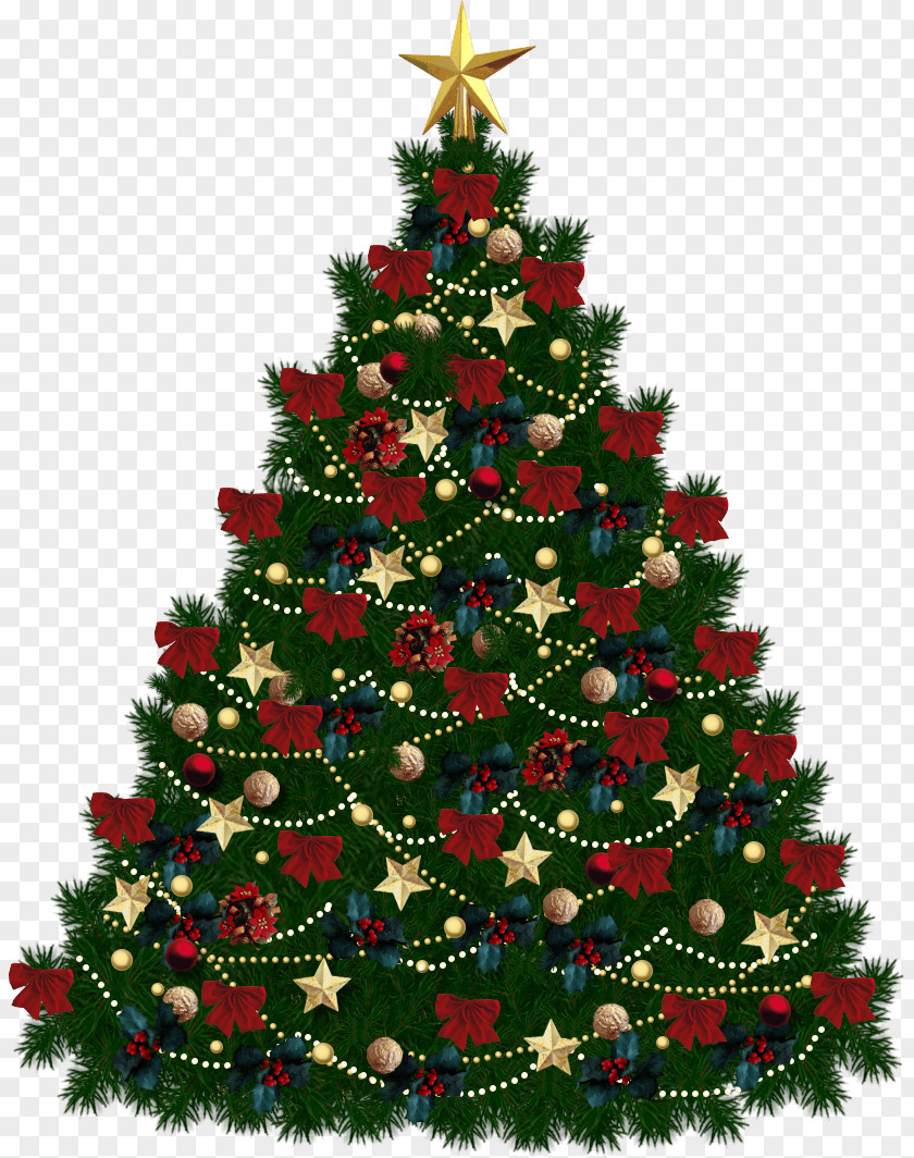 Fir-Tree Image Christmas Tree Fir Clip Art PNG