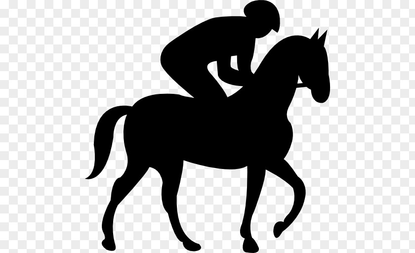 Horseback Riding Tennessee Walking Horse Jockey Equestrian Clip Art PNG