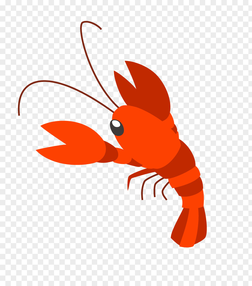 Insect Decapoda Cartoon Clip Art PNG