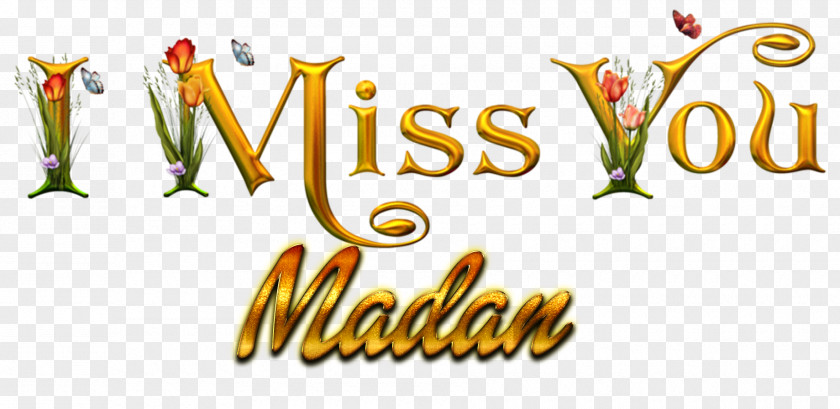 Miss Desktop Wallpaper Name Heart PNG