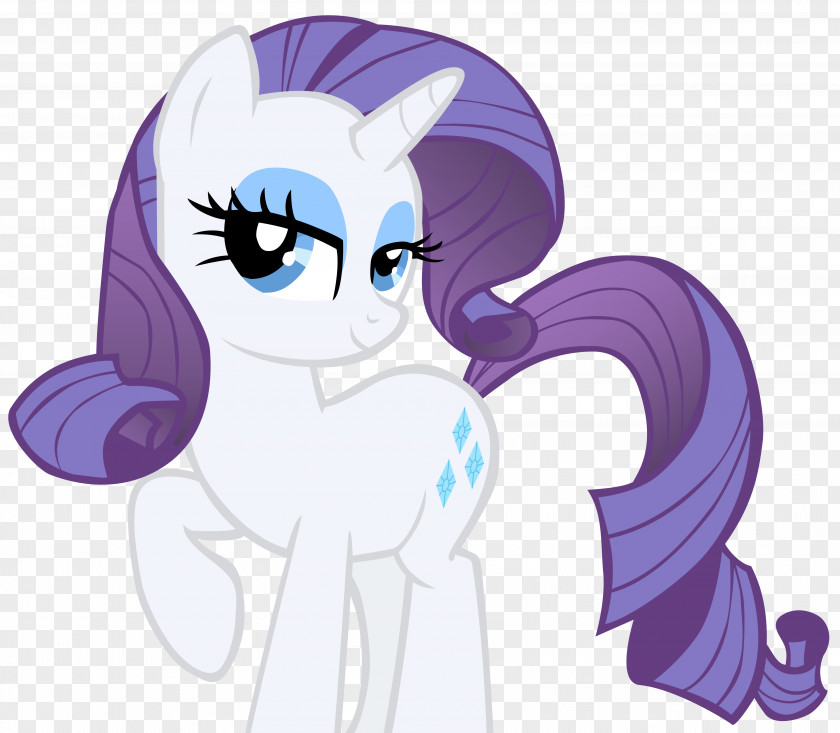 My Little Pony Rarity Rainbow Dash Pinkie Pie Twilight Sparkle PNG