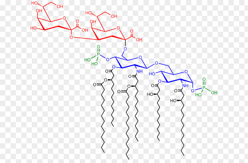 Noncoding Dna Endotoxin Saccharolipid 3-Deoxy-D-manno-oct-2-ulosonic Acid Lipid A PNG