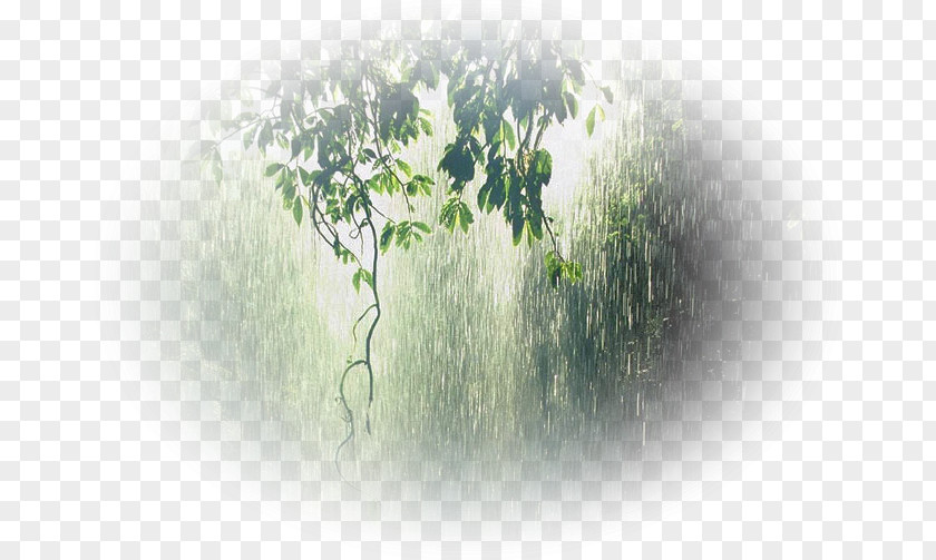 Rain Monsoon Condensation Wet Season Storm PNG