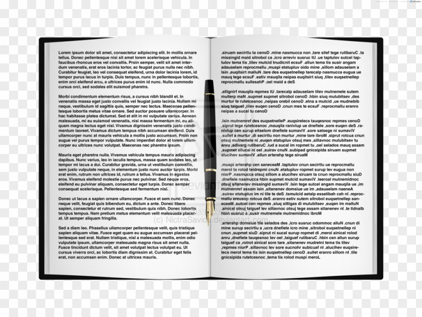 Read Book Graphic Design Web Text PNG