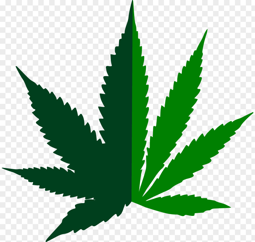 Cannabis Medical Ruderalis Hemp Clip Art PNG