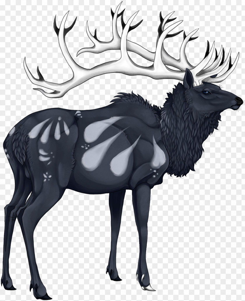 Deer Red Elk Moose Roe PNG