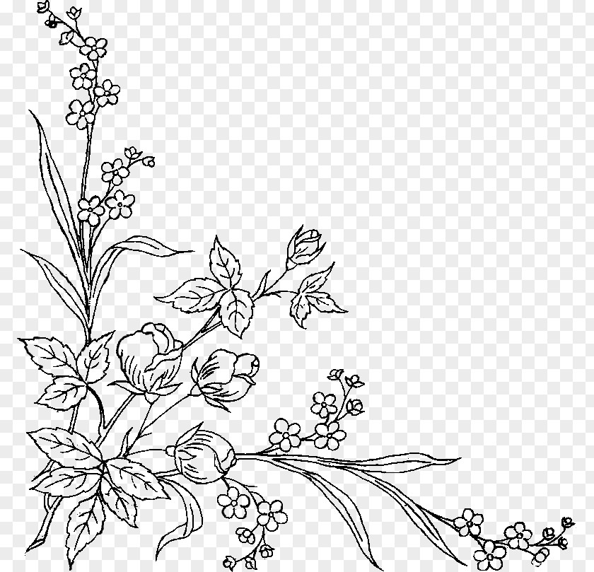 Design Floral Black And White Art Pattern PNG
