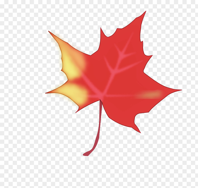 Leaf Tree Maple / M Symmetry Flower PNG