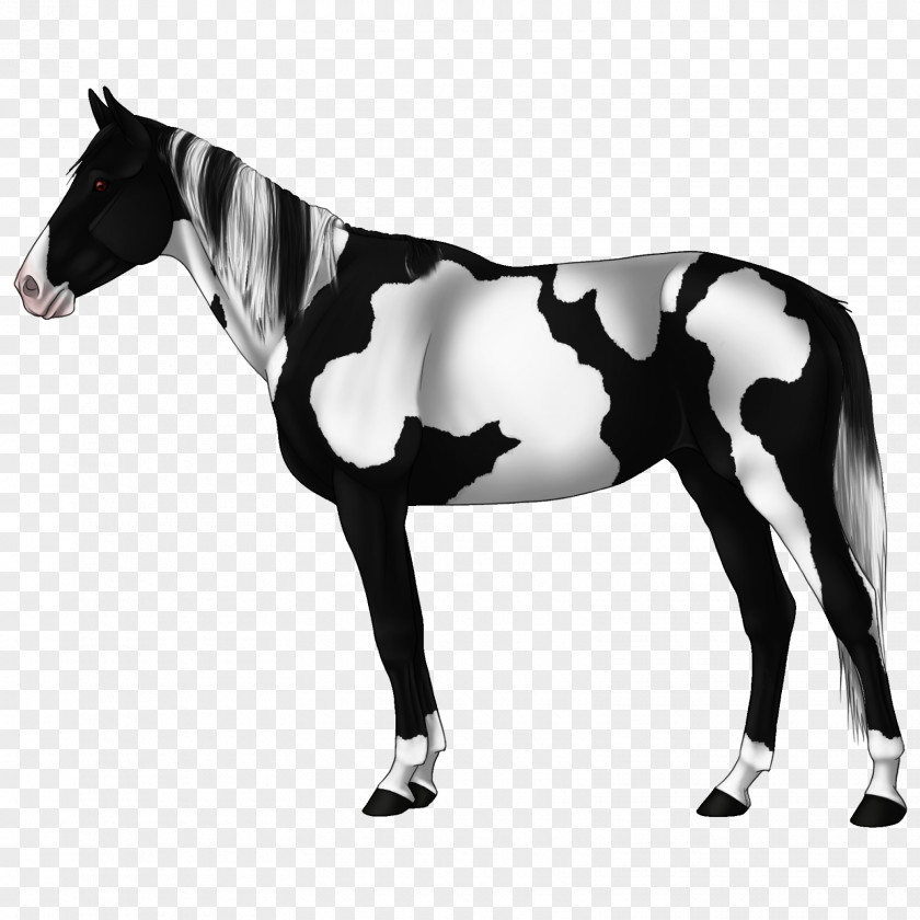 Mustang Arabian Horse Stallion American Quarter Andalusian PNG