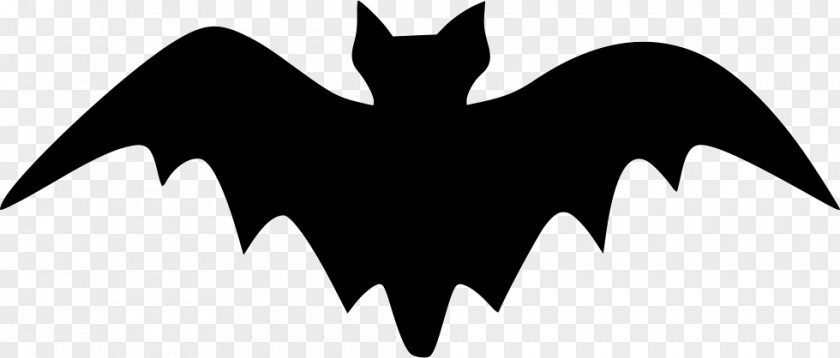 Bat Vector Graphics Clip Art Image Illustration PNG