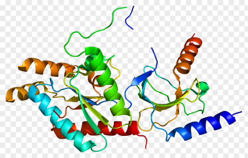 CACNB2 Voltage-gated Calcium Channel Protein Method Of Loci Actin PNG