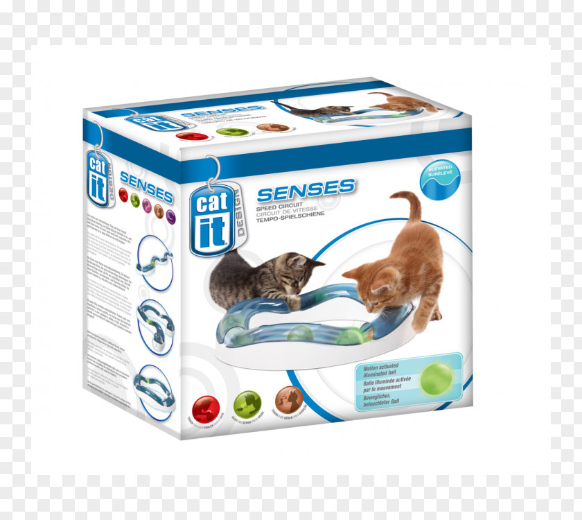 Cat Play And Toys Sense Pet Sound PNG
