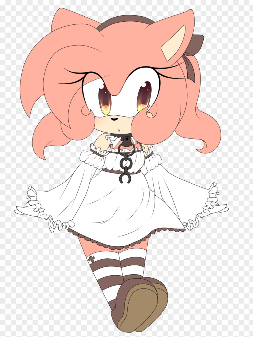 Hedgehog Amy Rose Sonic The Child Age PNG