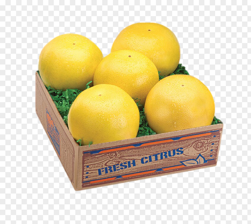Lemon Grapefruit Tangerine Citrus Junos Orange PNG