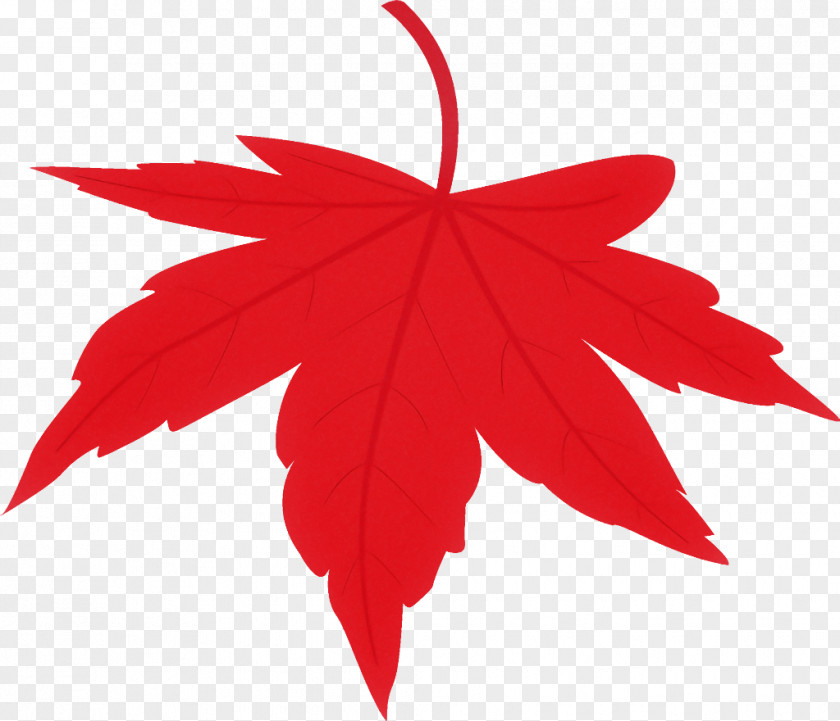 Maple Leaf Fallen Dead PNG