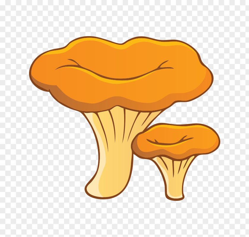 Mushroom,fungus Chanterelle Fungus Edible Mushroom Morchella PNG