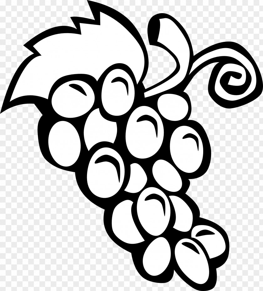 Nd Cliparts Common Grape Vine Wine Fruit Clip Art PNG