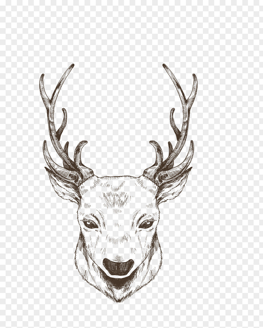 Painted Black Lines Christmas Reindeer PNG