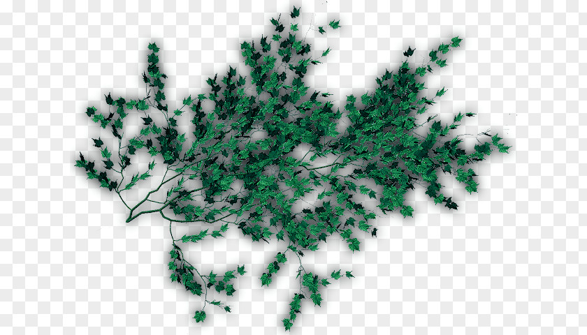 Tree Clip Art Vine Leaf PNG