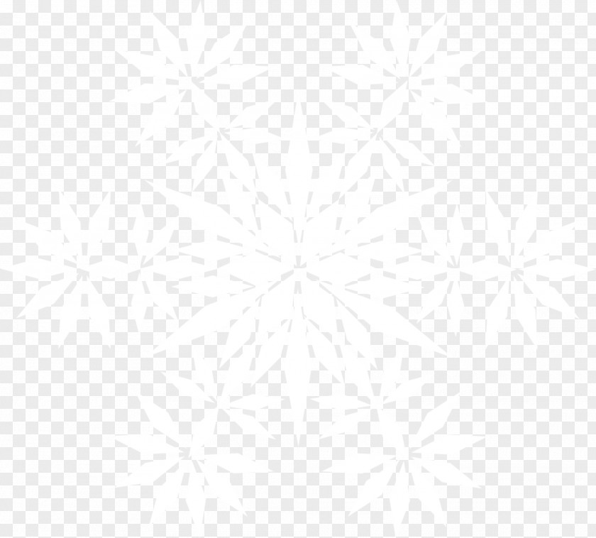 White Geometry Snowflake Black And Textile Symmetry Pattern PNG