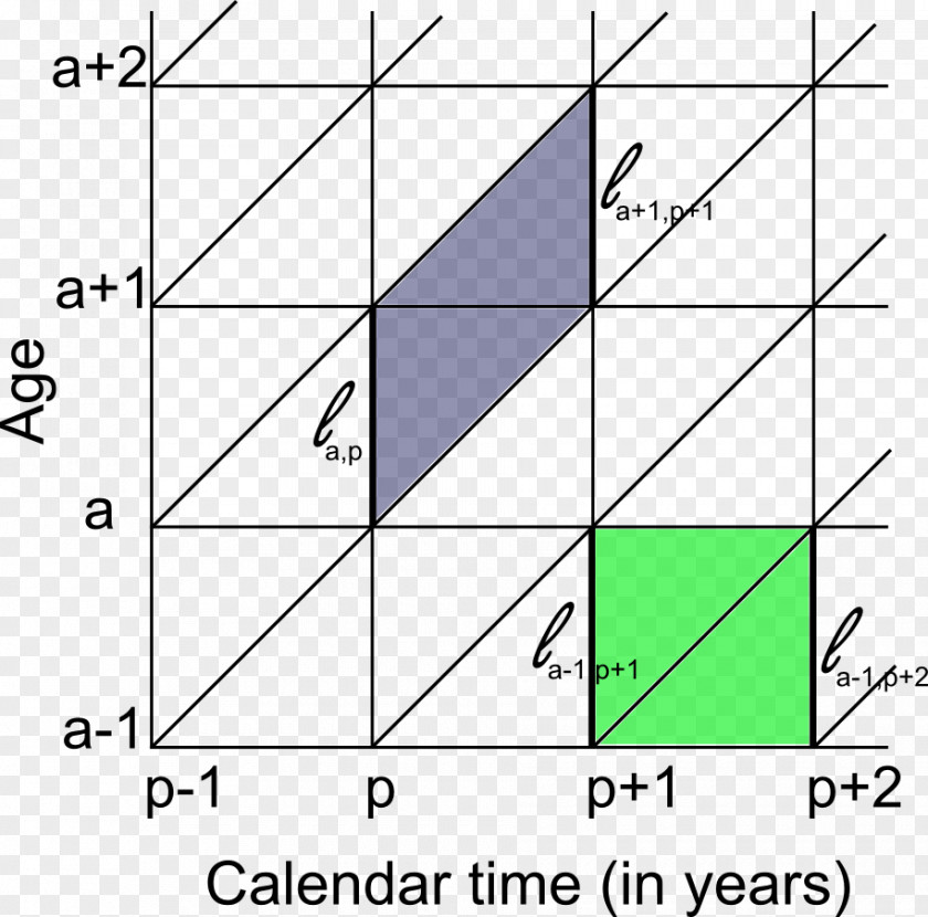 Discoverer Lexis Diagram Demography Visualization April 23 PNG