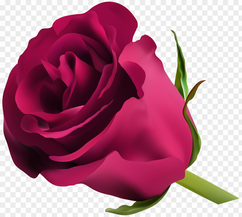 Pink Rose Clip Art Blue Flower PNG