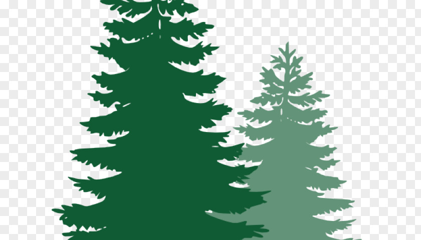 401k Cartoons Pine Clip Art Fir Tree PNG