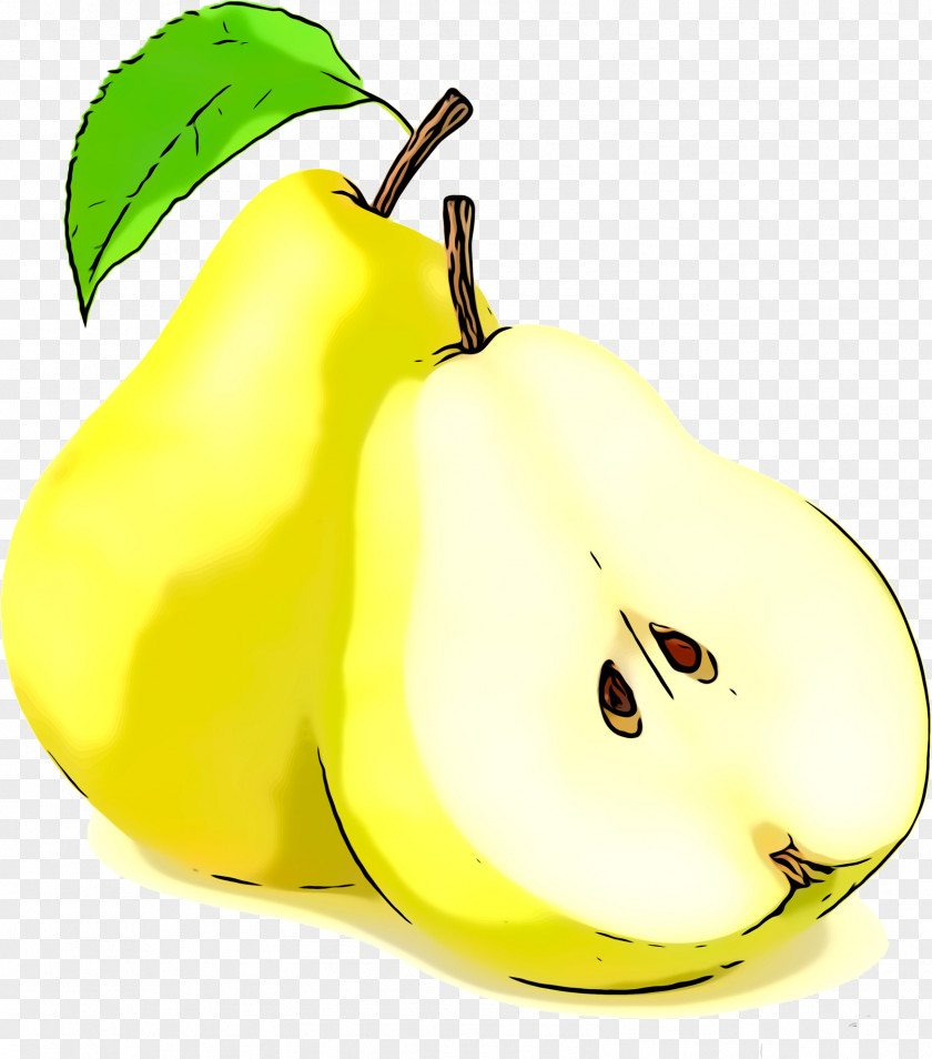 Accessory Fruit Food Pear Yellow Plant PNG