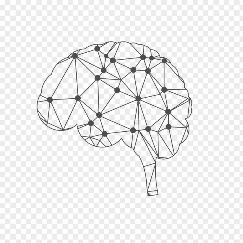 Brain Human Line Skull PNG