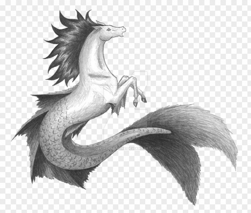 Dragon Hippocampus Drawing Greek Mythology Sketch PNG