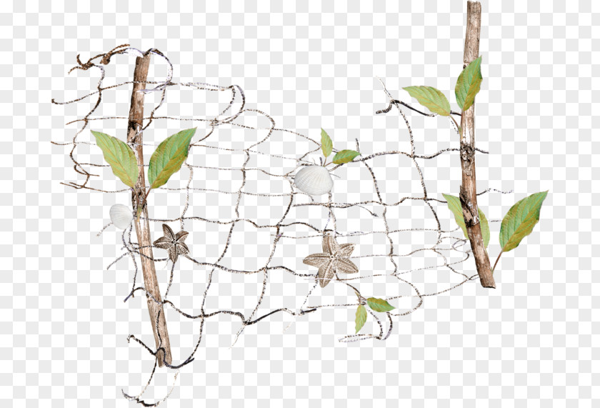 Fishingnet Twig /m/02csf Drawing Plant Stem Leaf PNG