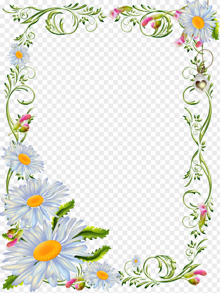Flower Borders And Frames Clip Art Photograph Image Illustration PNG