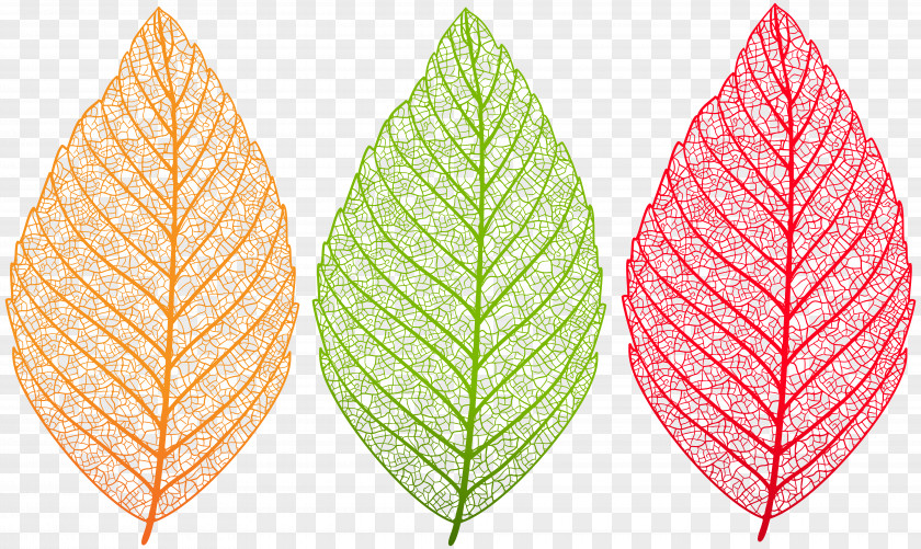 Leaf Bookmark Autumn Color Clip Art PNG