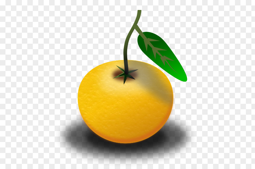 Papaya Tree Orange Juice Clip Art PNG