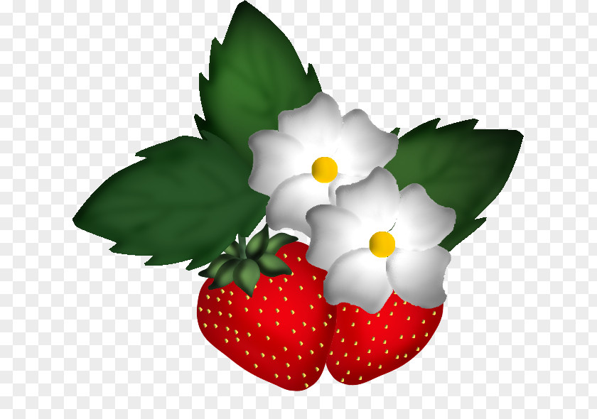 Strawberry Amorodo PNG