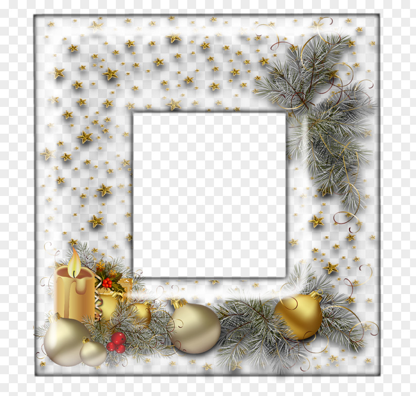 Ds Picture Frames Molding Christmas Tree Clip Art PNG