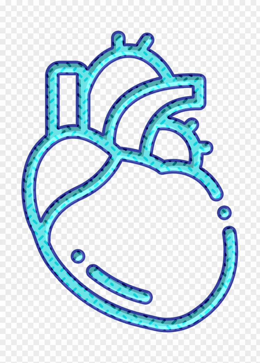 Heart Icon Cardiovascular Biology PNG