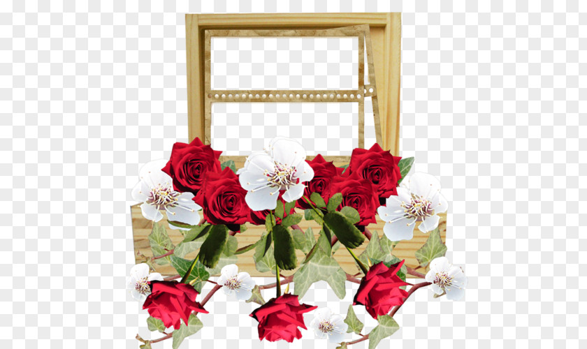 Rose Garden Roses Flower Floral Design PNG