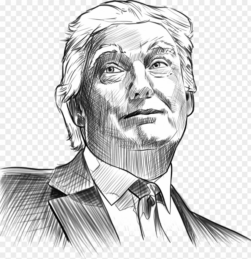 Sketch White House Chief Strategist Presidency Of Donald Trump President The United States PNG