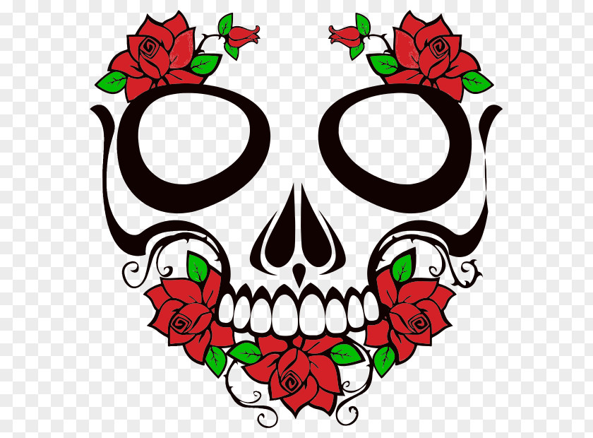 Skull Calavera Human Symbolism Clip Art PNG