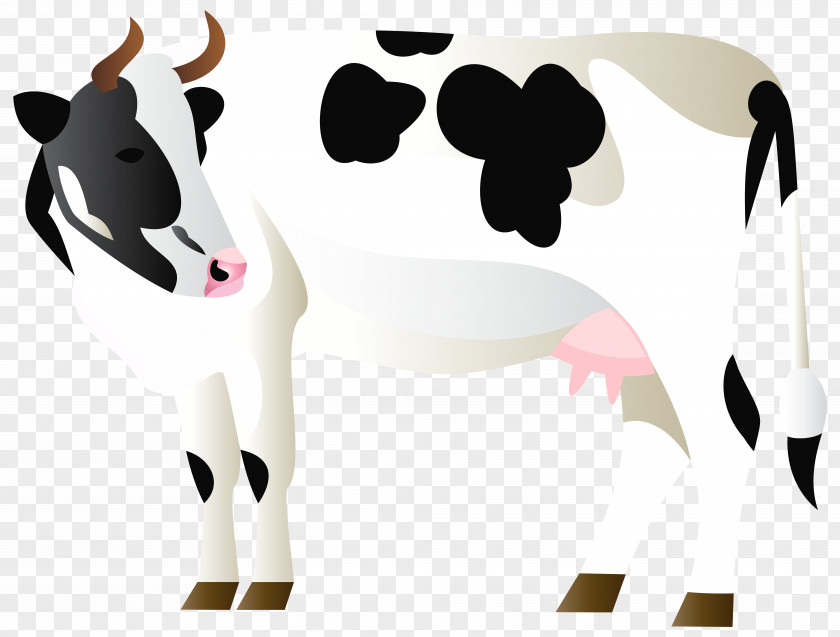 Clarabelle Cow White Park Cattle Sheep Dairy Clip Art PNG