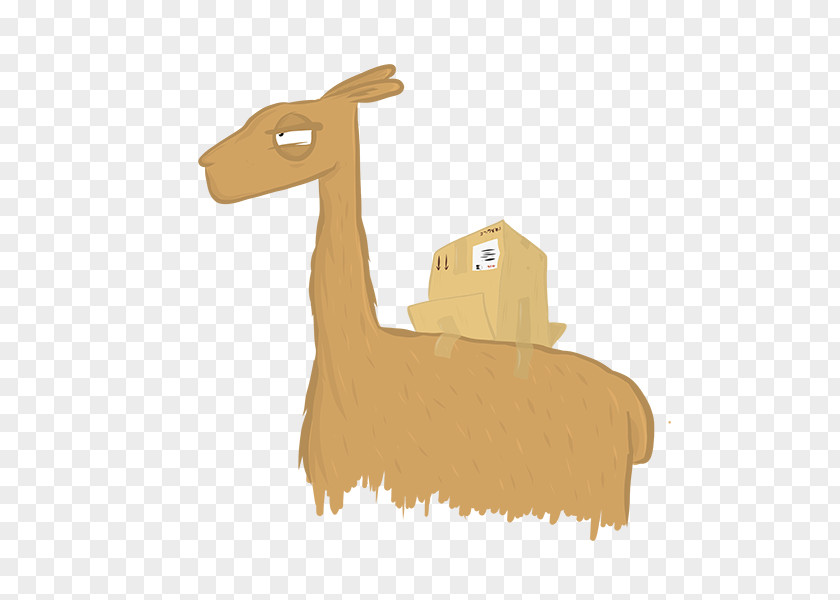 Giraffe Camel PNG