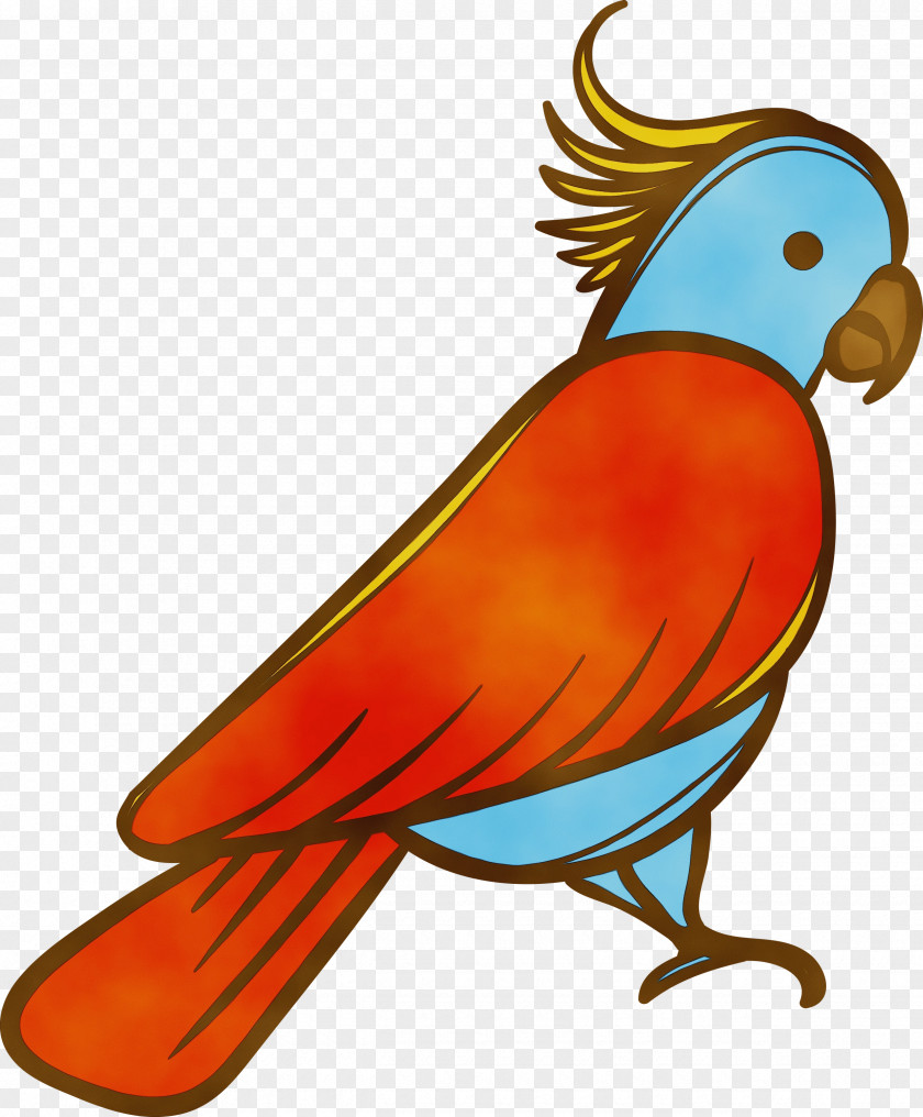 Lovebird PNG