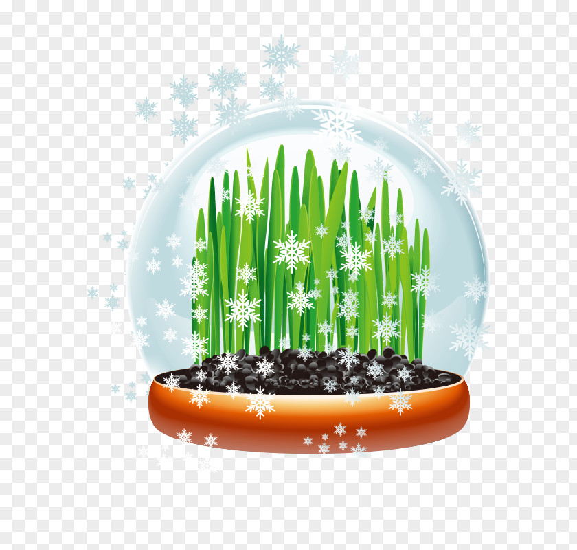 Plant Green Snowflakes Vector Horticulture Gardening Landscaping Landscape PNG