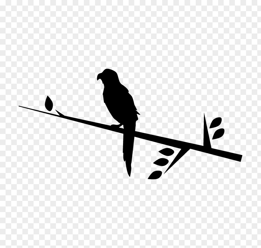 Bird Beak Silhouette Computer Font PNG