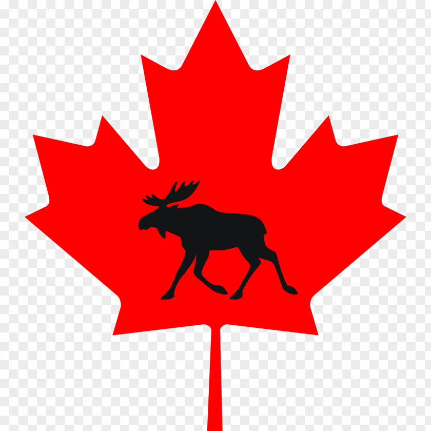 Canada Flag Maple Leaf Clip Art PNG