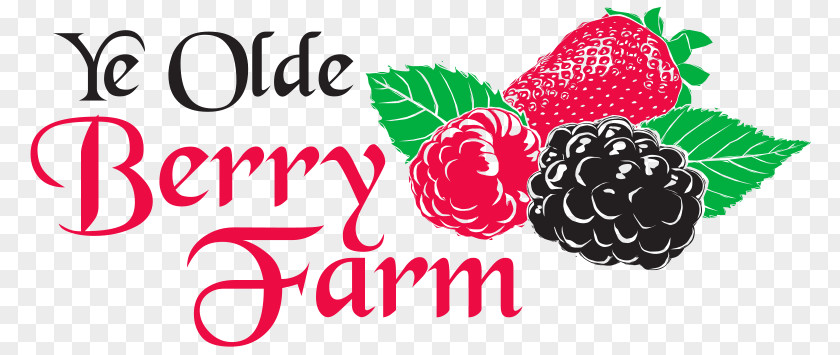 Fashion Personalized Fruit Shop Strawberry Olde Berry Farm_采莓 Boysenberry Raspberry PNG