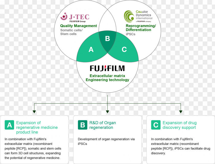 Fig Regenerative Medicine Regeneration Fujifilm Cell Therapy PNG